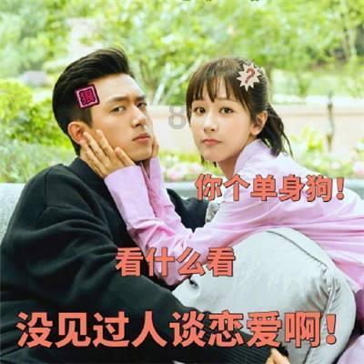 猫粮是为了方便还是为了猫咪的营养均衡?-有问必答平台